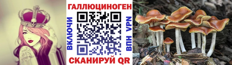 Галлюциногенные грибы ЛСД  Купить закладки  Ленск 